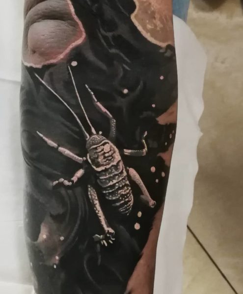 Bohemian Tattoo Arts - Black and White Tattoo